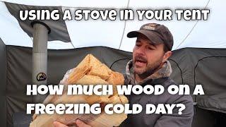 How much fuel does a wood burning stove use on a cold day?