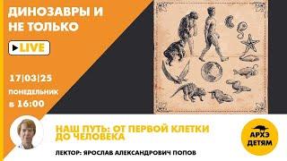 Занятие "Наш путь: от первой клетки до человека" Динозавры и не только с Ярославом Поповым