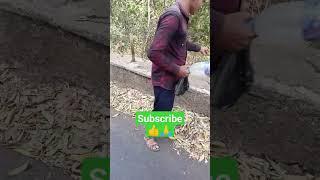 subscribe like