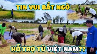 Đang Gặt Lúa Thì Bất Ngờ Nhận Được Hỗ Trợ Từ Việt Nam Khiến Anh Em Càng Quyết Tâm Làm Thêm Vụ Lúa.