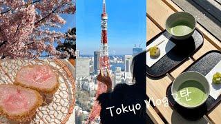 도쿄 여행 브이로그 Tokyo Vlog- 나만 알고싶은 힐링플레이스 + 맛집 #도쿄맛집 #도쿄여행 #도쿄브이로그