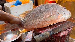 Incredible Cutting Video | Big Red Snapper Fish Cutting By Expert Fish Cutter