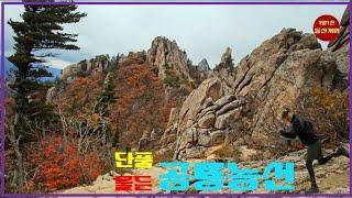 Dinosaur Ridge in Autumn Colors! [Seoraksan] #Han-gye-ryeong #Dae-cheongbong #Dinosaur Ridge