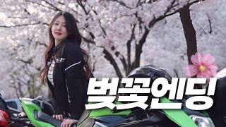 6월의 벚꽃 라이딩 같이 가실 분 ! | KAWASAKI ZX-6R | 오토바이 브이로그