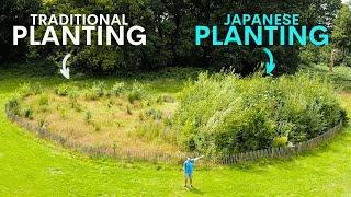 Japan's Tiny Forests are Thriving in Britain - here's why