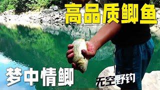 【無空野釣】這種品質的鯽魚，哪位釣魚佬看見了不迷糊！ #钓鱼 #探险 #户外 #钓鱼生活 #钓鱼高手 #钓鱼分享 #钓鱼佬 #大鱼