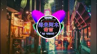 Chinese DJ 2025 高清新夜店混音 2025最火歌曲DJ慢摇Hot Tiktok Douyin Dj 抖音版2025 最佳 Dj 混音音乐