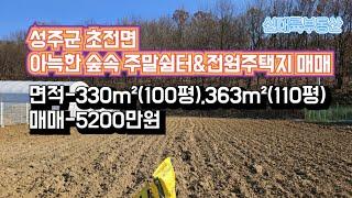 매물#264)성주군 초전면 아늑한 숲속 주말쉼터&전원주택지 매매 면적-330m²(100평), 363m²(110평) 매매가-5200만원_ 성주촌집매매.성주땅매매.성주전원주택매매