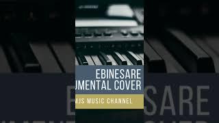 Ebinesare instrumental cover #MJs Music Channel 