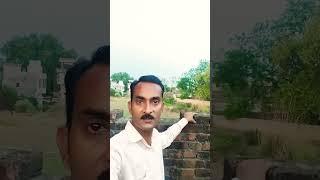 Hal PAL teri yaad#shorts #youtubeshorts #dance #viralshorts