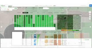 Phytech Insights - The Plant Performance Report