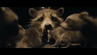 Rocket Discovers he is a Raccoon - Guardians of the Galaxy 3 Clip HD