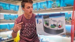 CRAZY TRIPLE OVERFLOW BETTA TANK SET UP! *BIG NEWS*