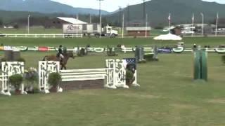 Video of MAITRE D' ridden by AMANDA STEEGE from ShowNet!