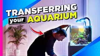 Reef Tank Relocation Made Easy | Pro Tips to Ensure Your Tanks Survival