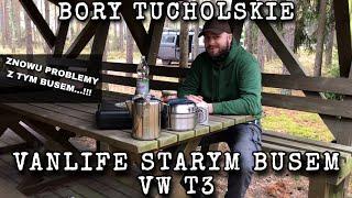 BORY TUCHOLSKIE - LIVING IN A VAN 4K