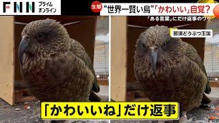 「かわいいね」と言われた時だけ返事する鳥！“世界一賢い”ミヤマオウムが人気　那須どうぶつ王国(2024/08/20)