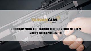 Double Eagle - Falcon Fire Control System - Airsoft Replica Presentation