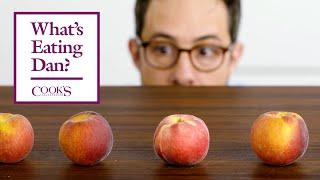 Why Peaches are My Favorite Fruit | What's Eating Dan?