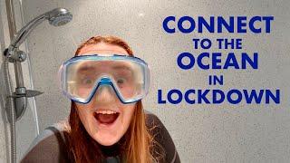 Ways to Connect to the Ocean During Lockdown - from a marine biologist!