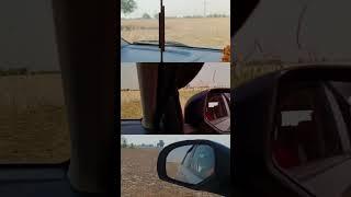 #dholpur #agra #viral #rj11 #chambal #trend #jaipur #haryanvi #bari #rajakhera #vitarabrezza #car