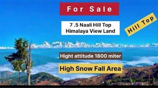 Mukteshwar | Hartola | Ramgarh |  Beautiful | Himalaya View Land | Available | For Sale |Best Price