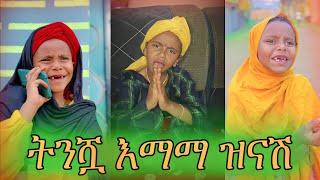 ትንሿ እማማ ዝናሽ| ህፃኗ ቲክቶከር በሳቅ ገደለችን | Habeshan Tikrok Compilation 2023