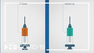 How are the Pfizer and Moderna COVID-19 vaccines different?