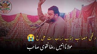 Maulana Anees Raza Naqvi 2023 |Masaib Bibi Zainab SA #ShortClip