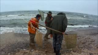 Amber hunting in the Baltic Sea