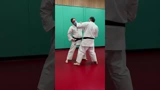 Torakan Karate ‘Karate Essence’ Reality Check!  Variations on Torakan Kakuto and Keito 9