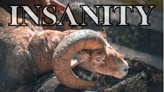 Hunting Bighorn Sheep In America's Most Remote Wilderness -INSANITY-