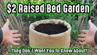 They Don't Want You To Know About This $2.00 Raised Garden Bed From The Big Box Store!