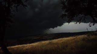 Ominous Thunderstorm Approaches you in Mountains | Between two Trees | Full Storm&Rain | 3 HOURS