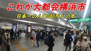 大都会横浜駅周辺を散策！(Japan Walking around Yokohama Station)