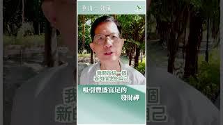 華山一分鐘：吸引豐盛富足的發財禪 #新年 #發財禪 #豐盛富足