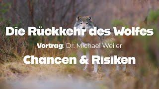 Die Rückkehr des Wolfes - Chancen & Risiken