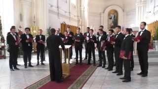 Мужской хор «Cantus Domini» Бухарест, Румыния 03.08.2015 Фестиваль Поющий Мир Singing World