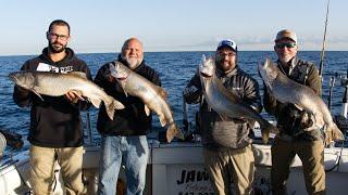 How To Bottom Bounce Downriggers For Incredible Fall Lake Trout Fishing