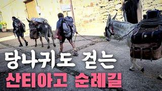 수백km를 걸어도 신기한 일들이 가득한 산티아고 순례길 [EP.14]