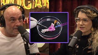 Chemists are Attempting to Create New Lifeforms - Joe Rogan & Sara Imari Walker