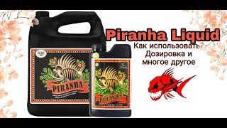 Стимулятор для корней Piranha Liquid