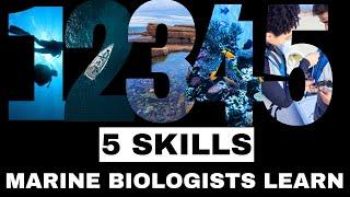 5 Skills You Will Learn as a Marine Biologist