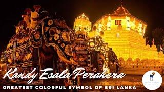 #exploresrilanka #esalaperahera Kandy Esala Perahera - Greatest colurful symbol of Srilankan culture