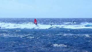 Windsurfing in Maui — Top Spots for an Unforgettable Ride! Maui.Hawaii.