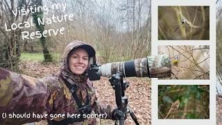 Wildlife photography at my local nature reserve