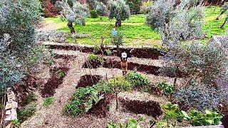 TRANSFORMING the Vegetable Garden