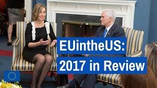 EUintheUS: 2017 in Review