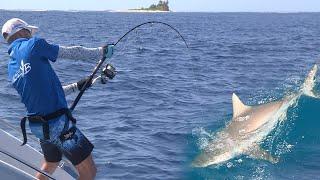 Fishing Shark on Seychelles - Shark attacks catch | Pecanje ajkula na Sejšelima