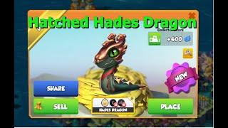 Hatched Hades Dragon-Dragon Mania legends | Zeus Hatching start | DML